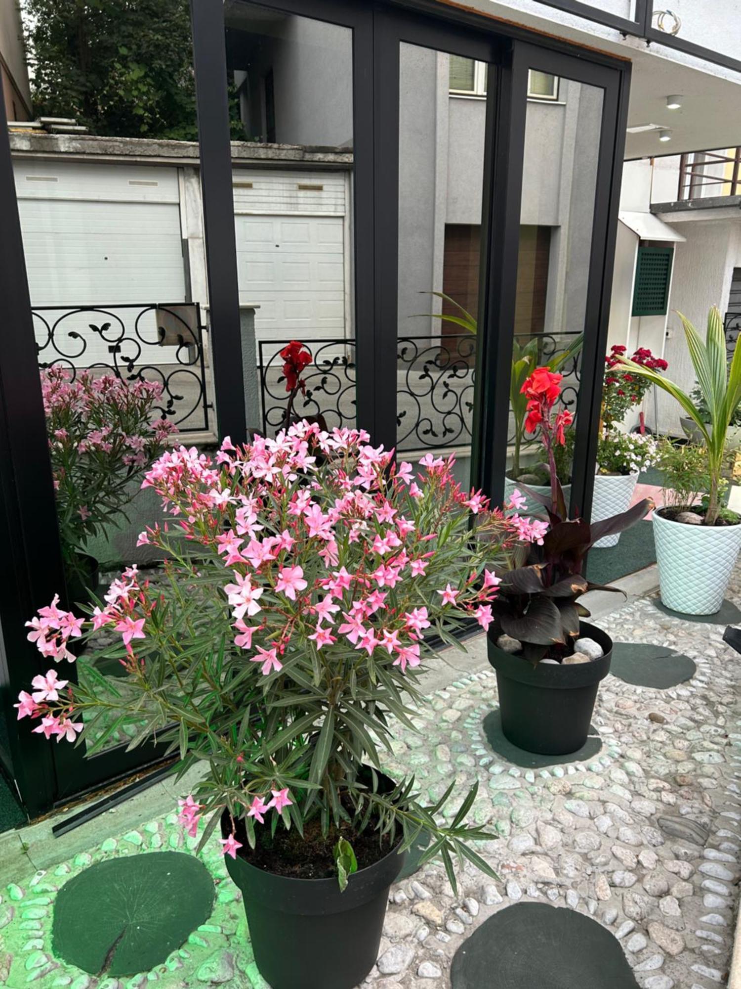 Halvat Guesthouse SJJ Exterior foto